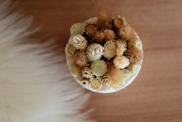 Eierschale mit Trockenblumen
